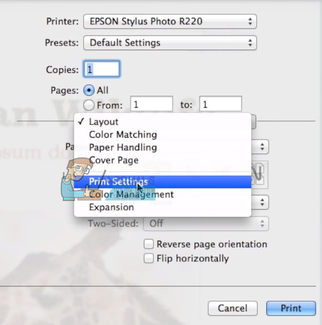 create a black and white preset for printing on mac